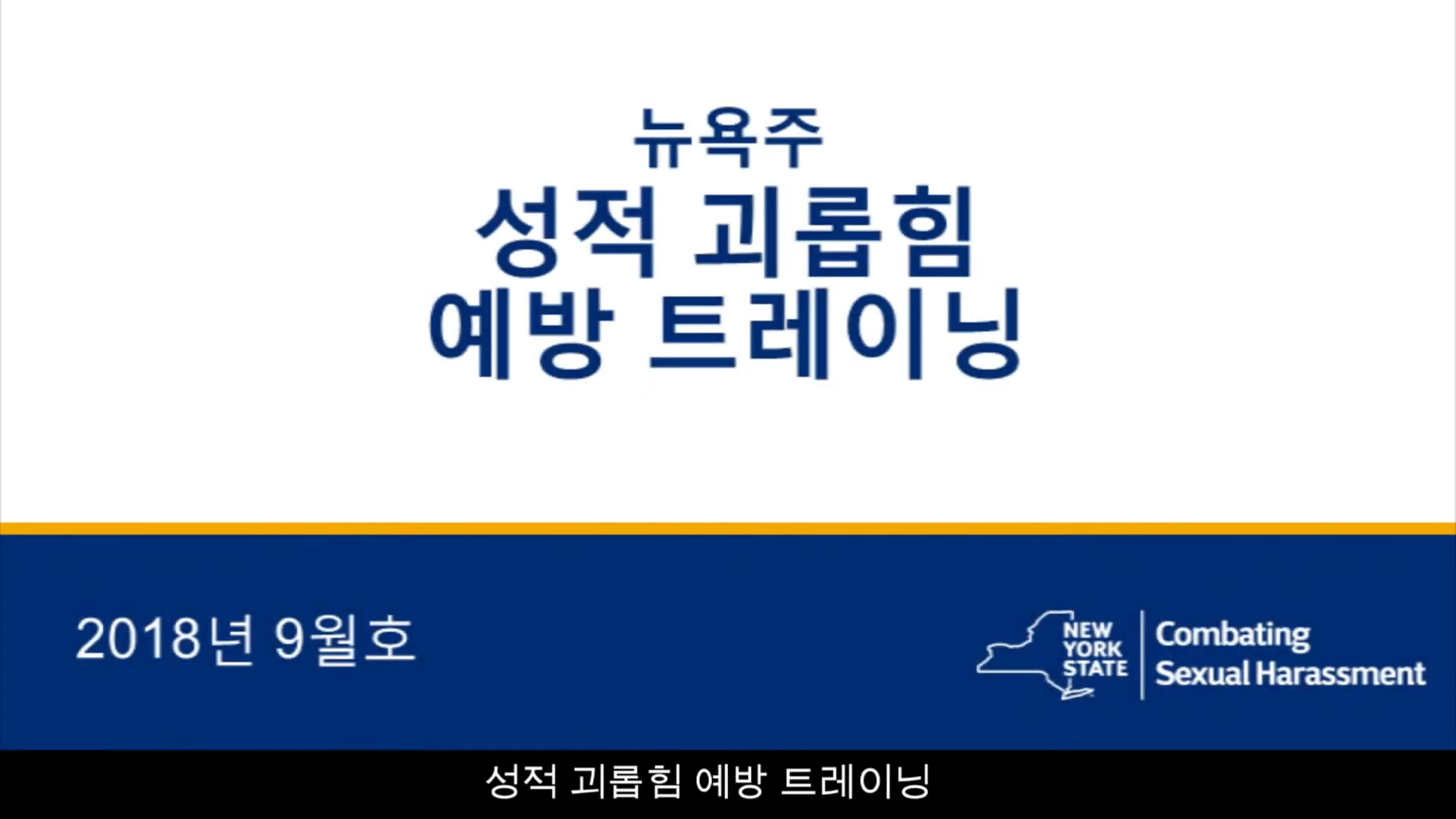 Sexual Harassment Prevention Training Part 1  Korean Subtitles 0 1 screenshot